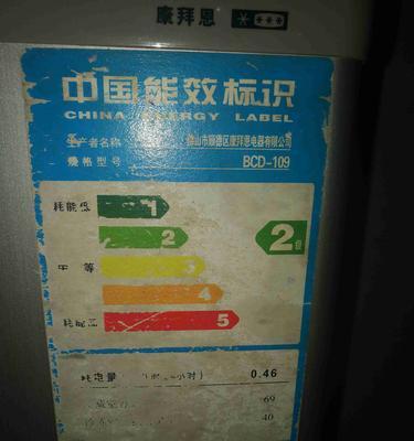 荣事达冰箱E9故障原因及修复方法（详细分析荣事达冰箱E9故障）