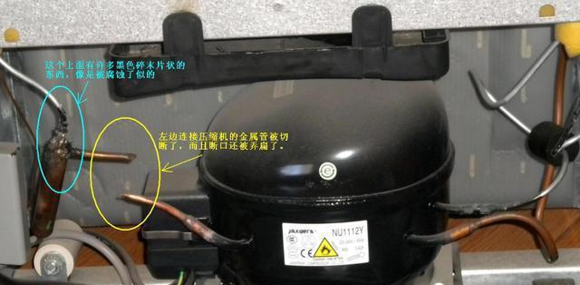 冰箱为什么老是嗡嗡的响（探寻冰箱嗡嗡声背后的原因）