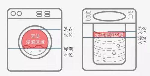 如何正确清洗横桶洗衣机（掌握清洗方法）