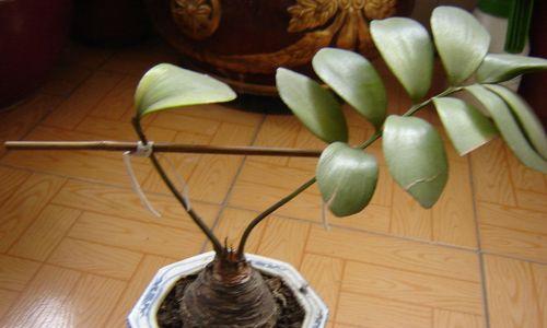 苏畅笔记本电脑性能如何？